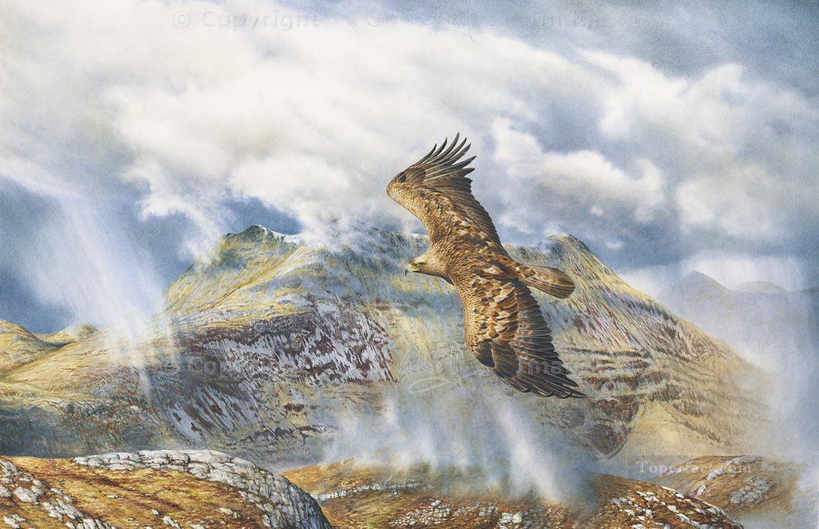 アーニスデールの鳥の上のイヌワシ油絵
